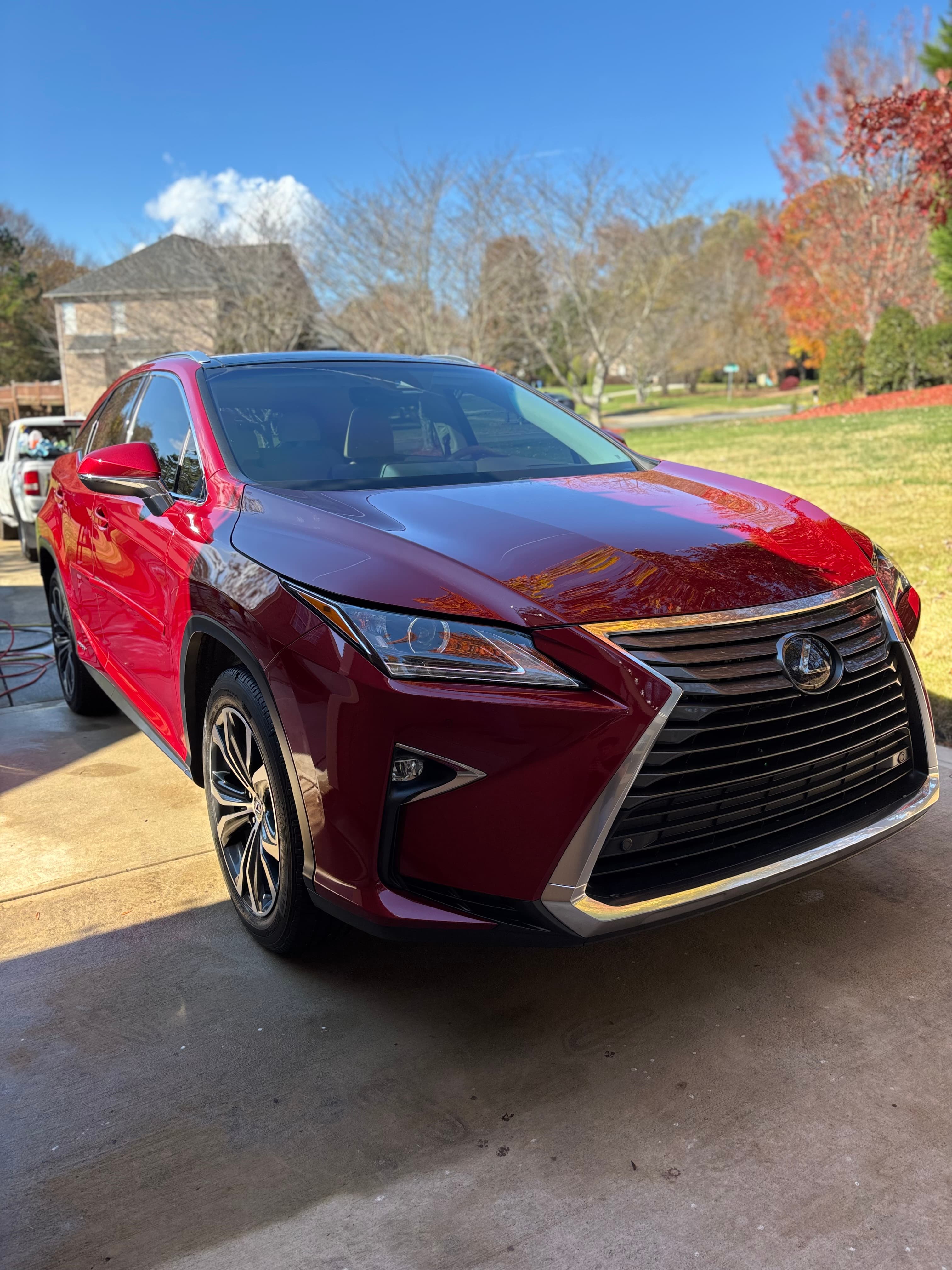 We Bring the Detail to You